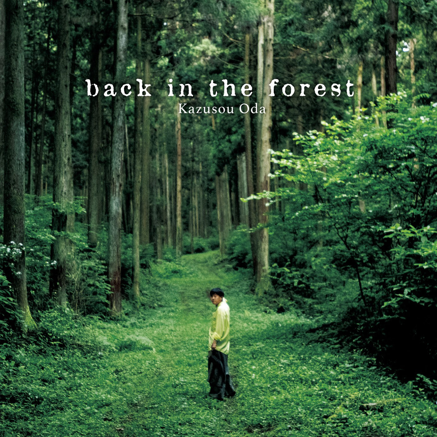 Kazusou Oda "back in the forest"
